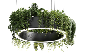 W60 x H150mm Green Plant Ring LED Pendant Light